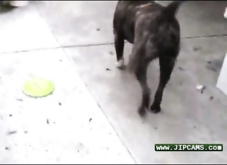 Blonde au cul tatoué généreusement enculée